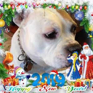 Meet your Posher, Donna